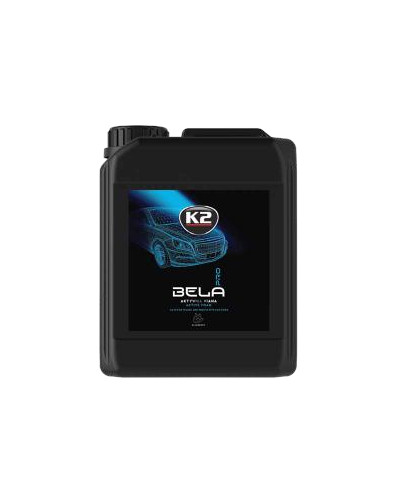Активная пена для мытья авто K2 Bela Pro Blueberry 5л